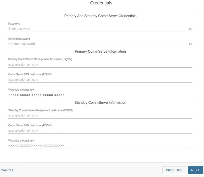 Primary and Standby CommServe (management network) (1)