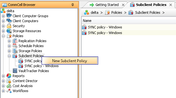 subclient_policy